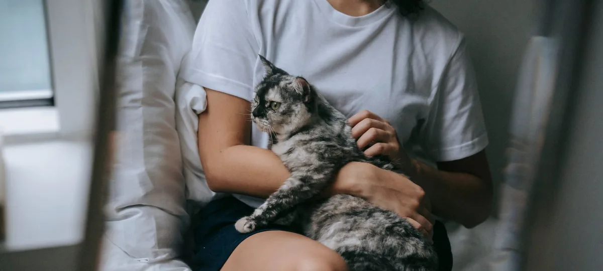 signs your cat loves you